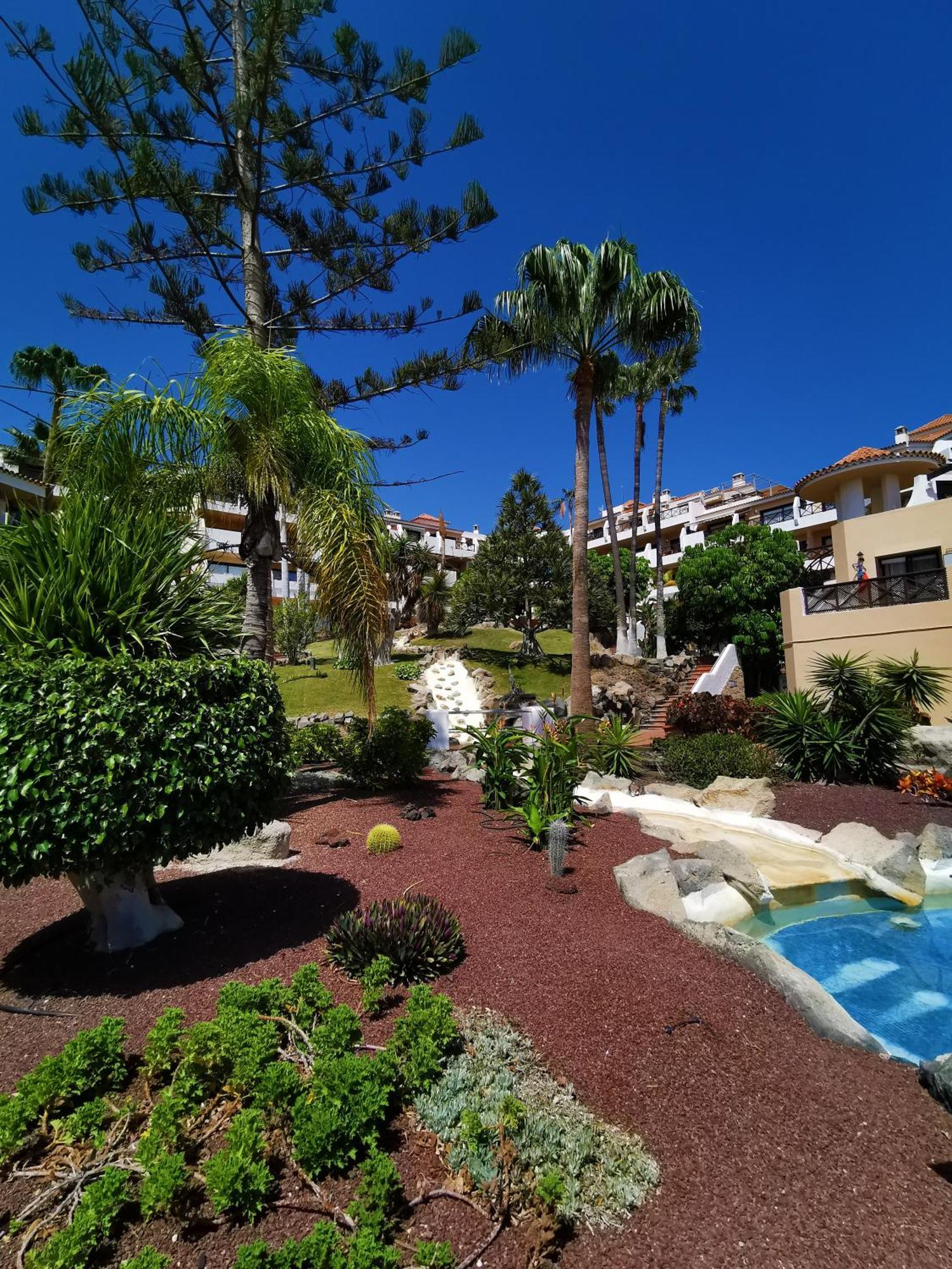 Strelitzia Apartment - Ocean View & Heated Pool San Miguel de Abona Exteriör bild